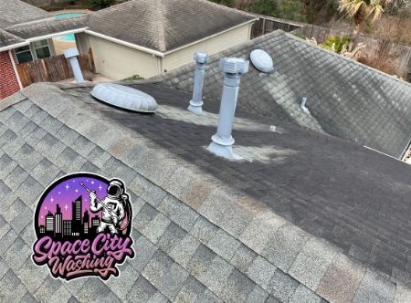Why Do I Have Black Streaks on My Roof?